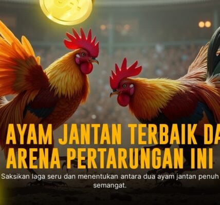 Mengenal Jenis Ayam Aduan S128 yang Paling Populer dan Odds Menarik