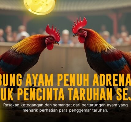 Serunya Adu Ayam Bangkok di SV388: Odds dan Taktik Menang