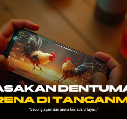 Mengenal Ayam Bangkok: Raja Sabung Ayam dengan Odds Menarik di SV388