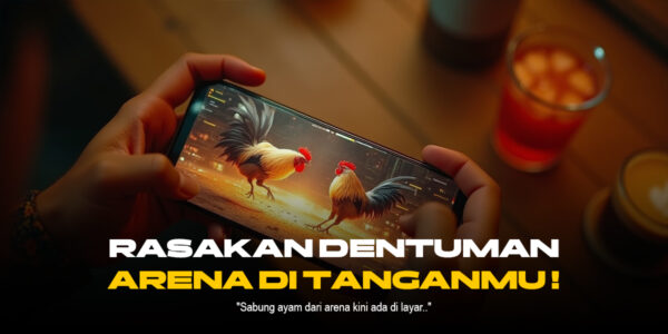 Mengenal Ayam Bangkok: Raja Sabung Ayam dengan Odds Menarik di SV388