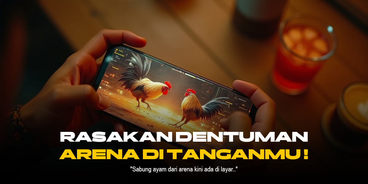 Mengenal Ayam Bangkok: Raja Sabung Ayam dengan Odds Menarik di SV388