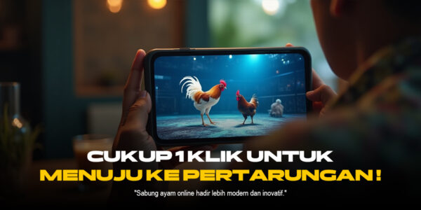 Mengenal Jenis Ayam Bangkok dalam Sabung Ayam SV388