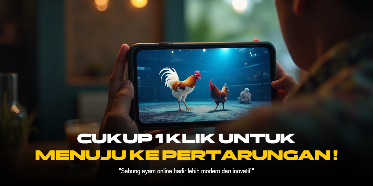 Mengenal Jenis Ayam Bangkok dalam Sabung Ayam SV388