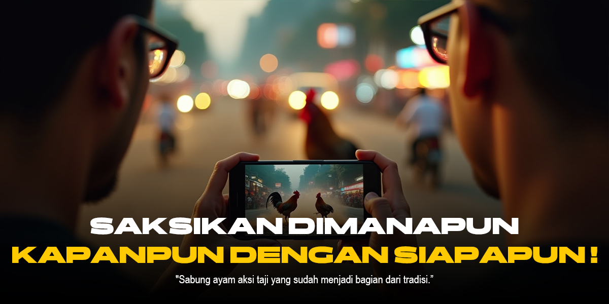 ASLI! Mengenal Ayam Bangkok dalam Sabung Ayam SV388