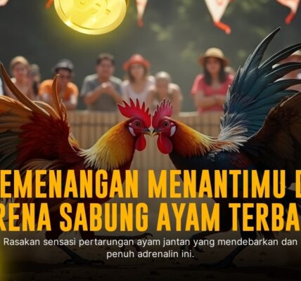 Mengenal Ayam Bangkok di Sabung Ayam SV388: Kunci Menang Taruhan