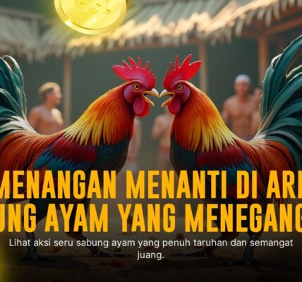 Mengenal Ayam Bangkok: Raja Arena Sabung Ayam SV388