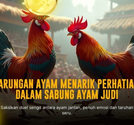 Mengeksplorasi Jenis Ayam Aduan Unggulan di Sabung Ayam SV388