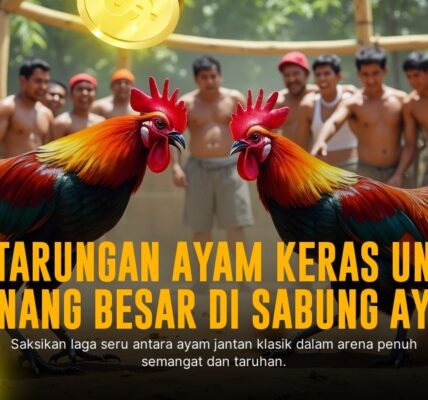 Odds dan Jenis Ayam Terbaik di Sabung Ayam SV388
