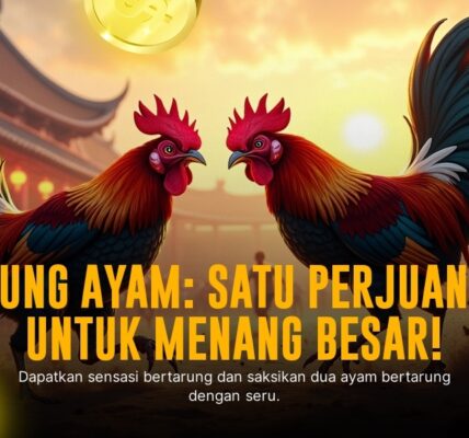 S128: Jenis Ayam Aduan dan Peluang Menang Sabung Ayam