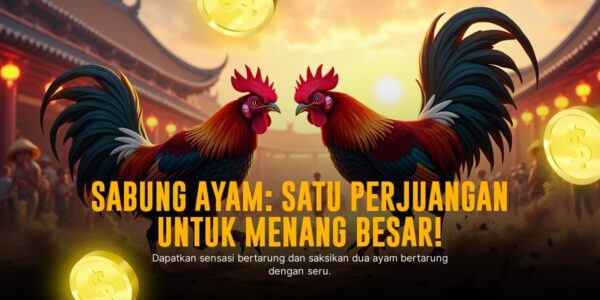 S128: Jenis Ayam Aduan dan Peluang Menang Sabung Ayam