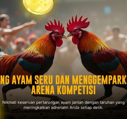 Mengenal Jenis Ayam Aduan SV388 Beserta Odds Terbaik