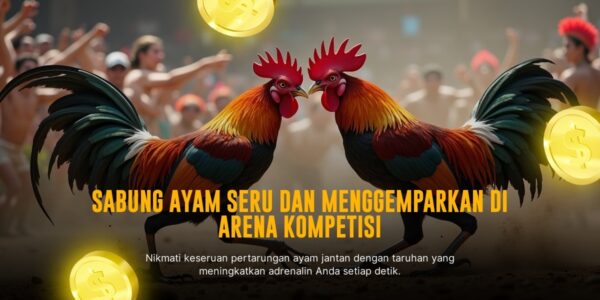 Mengenal Jenis Ayam Aduan SV388 Beserta Odds Terbaik