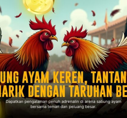 Mengenal Jenis Ayam Aduan di Sabung Ayam SV388