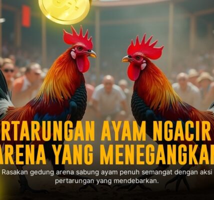 Pukulan Mematikan Ayam Bangkok di Sabung Ayam SV388