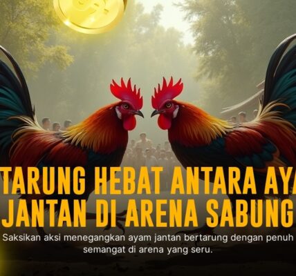 Mengenal Jenis Ayam Aduan SV388 yang Paling Ditunggu