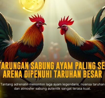 Mengenal Jenis Ayam Bangkok dalam Sabung Ayam SV388