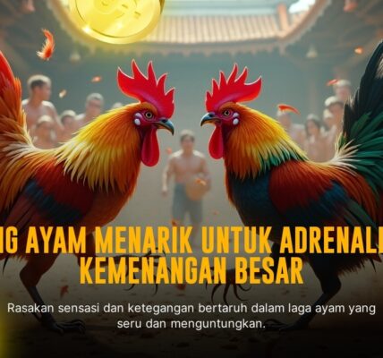 Rahasia Ayam Bangkok di SV388 yang Siap Tempur