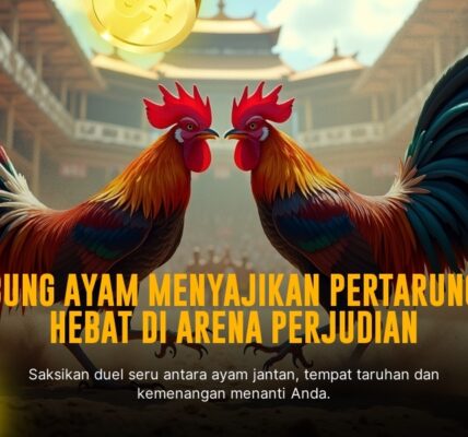 SABUNG AYAM: Mengenal Jenis Ayam Aduan dari SV388