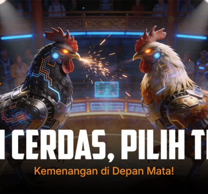 Mengenal Jenis Ayam Laga yang Diadu di SV388 dan Oddsnya