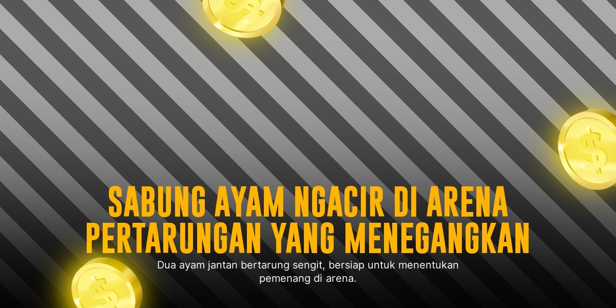 Keunikan Ayam Bangkok dalam Sabung Ayam SV388