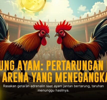 Mengenal Jenis Ayam Aduan SV388 yang Paling Populer