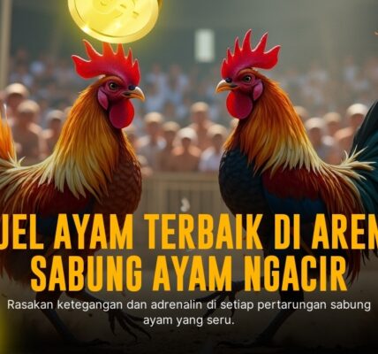 Mengulik Jenis Ayam Bangkok di Sabung Ayam SV388