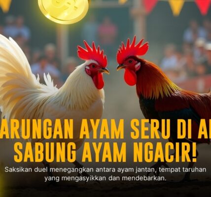 Jenis Ayam Aduan S128 yang Paling Populer dan Odds Terpercaya